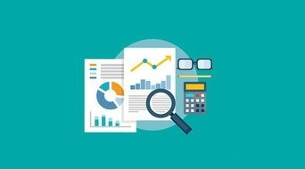 你都用 python 來做什么